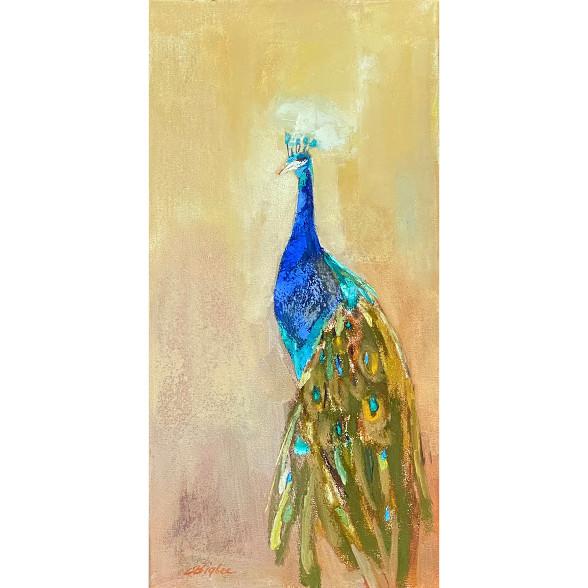 Royal Peacock