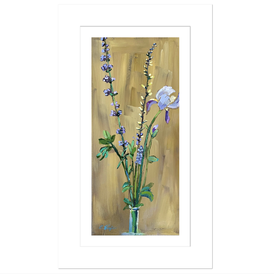 White Iris