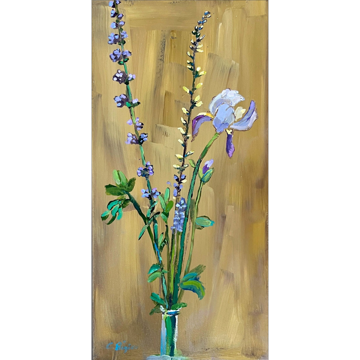 White Iris